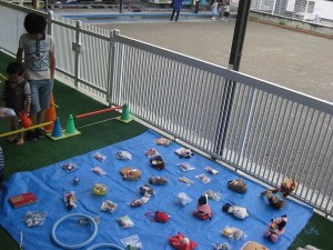 IMG_0633