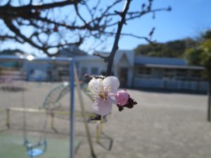 IMG_1728